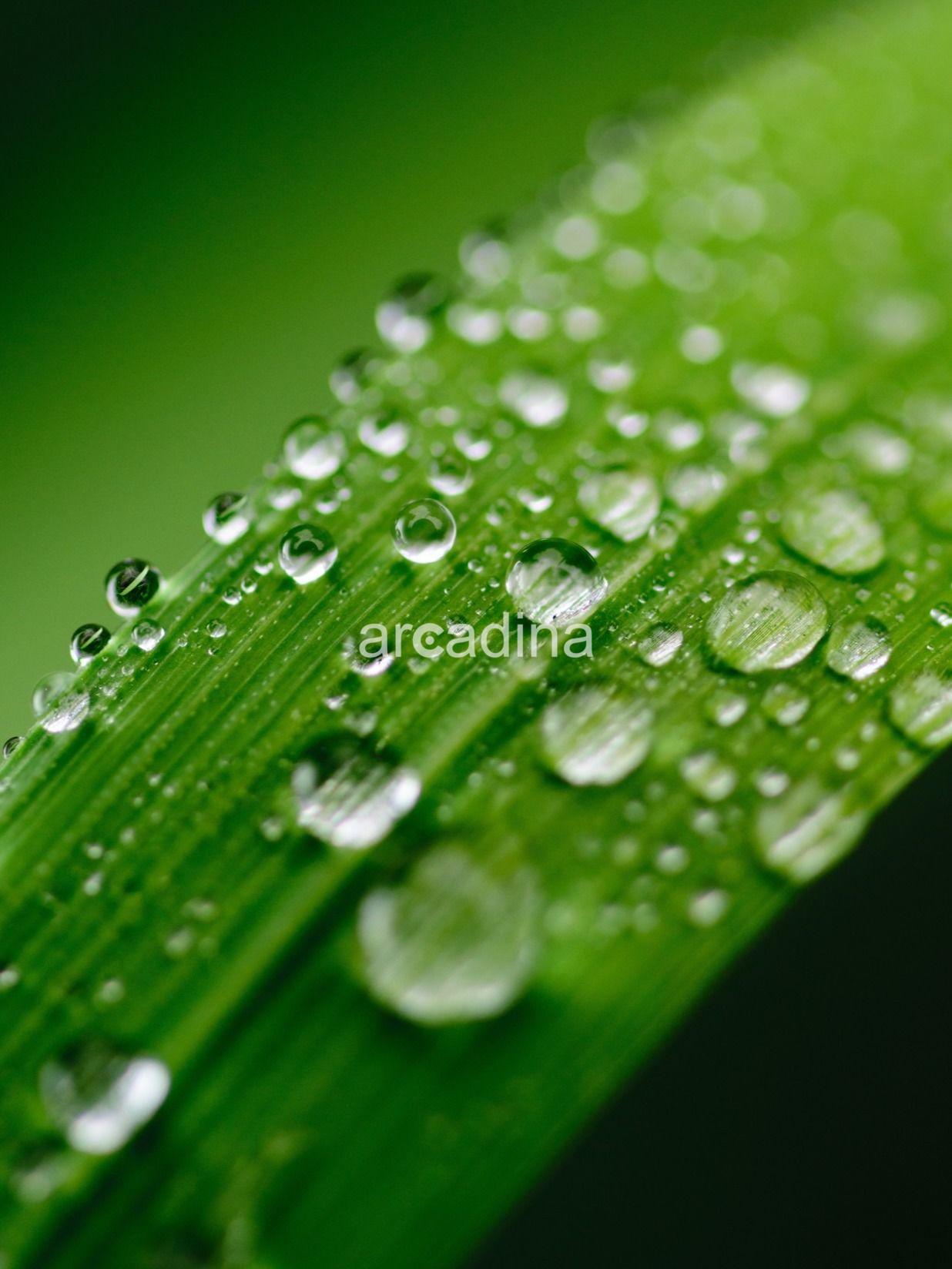 Istintifotografici - blur-bright-clean-459369.jpg